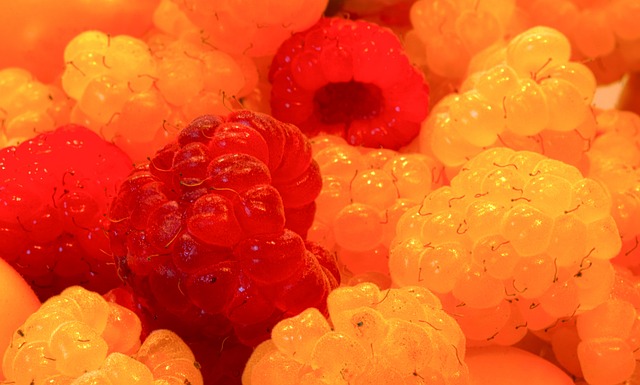 的印象停留 的印象停留