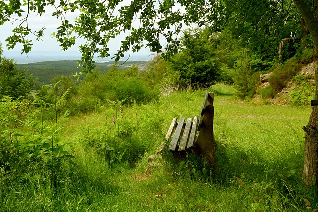 还提醒我们 还提醒我们