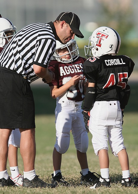 球球迷注目 球球迷注目