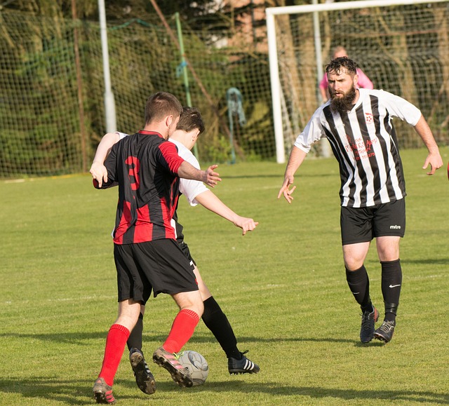 都是极大的 都是极大的